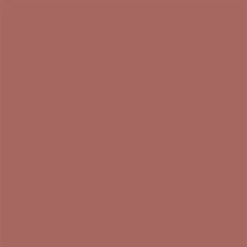 Flormar Dewy Lip Booster - 07 Bronze Elegance